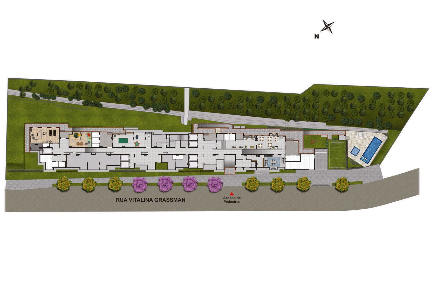 Planta 1 — Vita Giovanni Gronchi