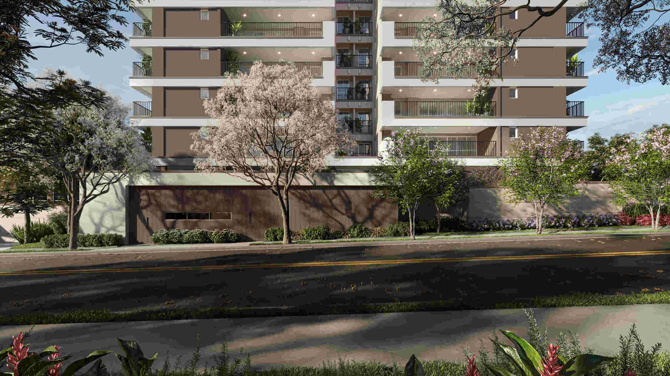 Olivier Morumbi — imagem 2