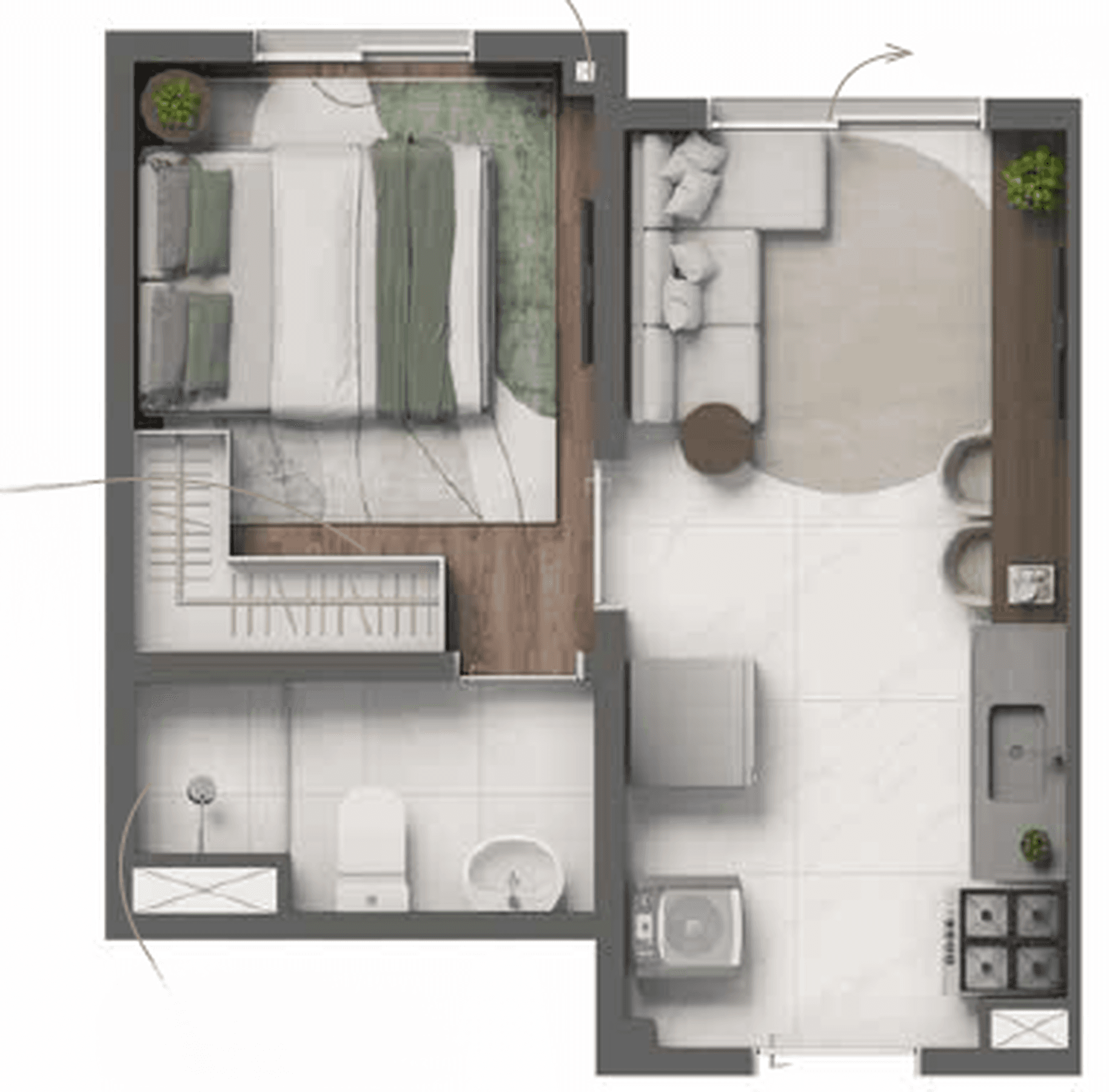 Planta 4 — Vivaz Selection Laguna